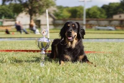 10371188_312597708905008_7950767938456458979_o