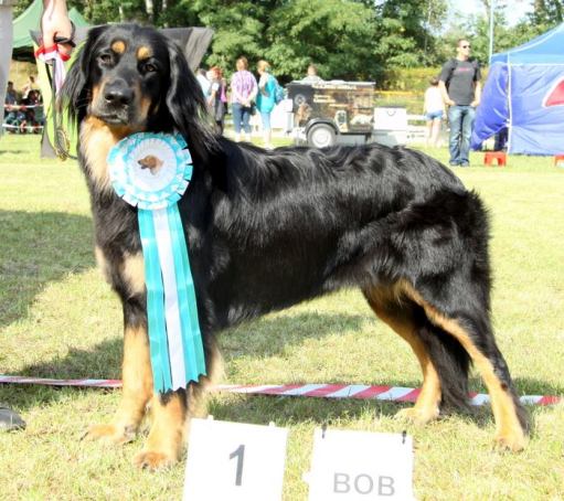 10628581_1506922159546357_8968392840224780915_n