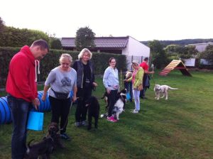 14462965_677831645717236_2487230846569901397_n