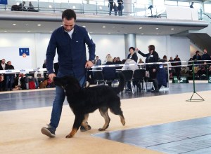 14894458_639966776175285_1727913925_o