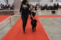 15110430_1334336933283709_6874014533280722155_o