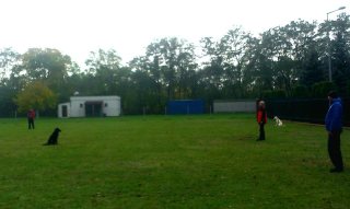 15328306_655130414658921_922093298_n