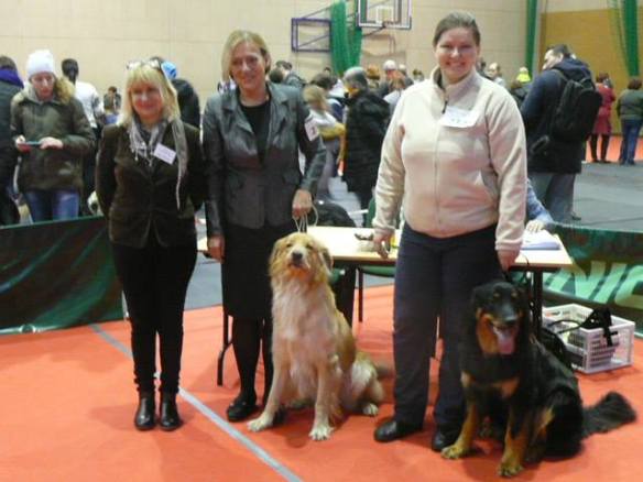 16508291_1798316413826549_499458422035151062_n